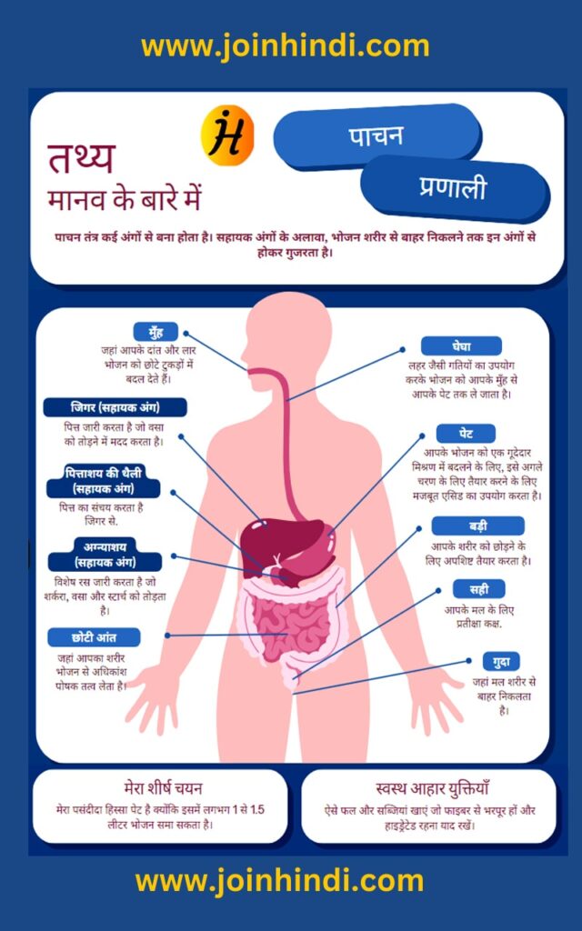 Digestive System, पाचन तंत्र, Simple Ways To Improve Digestive System In Hindi